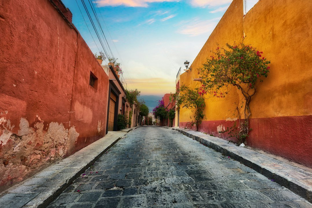 Calle residencial con casas en un barrio de México durante el día